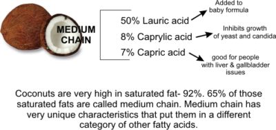 kokosnød kæde 400x189 kokosnød kæde
