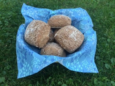 Fil 007 400x300 Fil 007.jpg