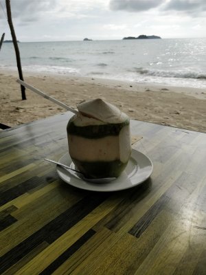 Kokosnød Koh Chang Thailand 300x400 Kokosnød Koh Chang Thailand.jpg