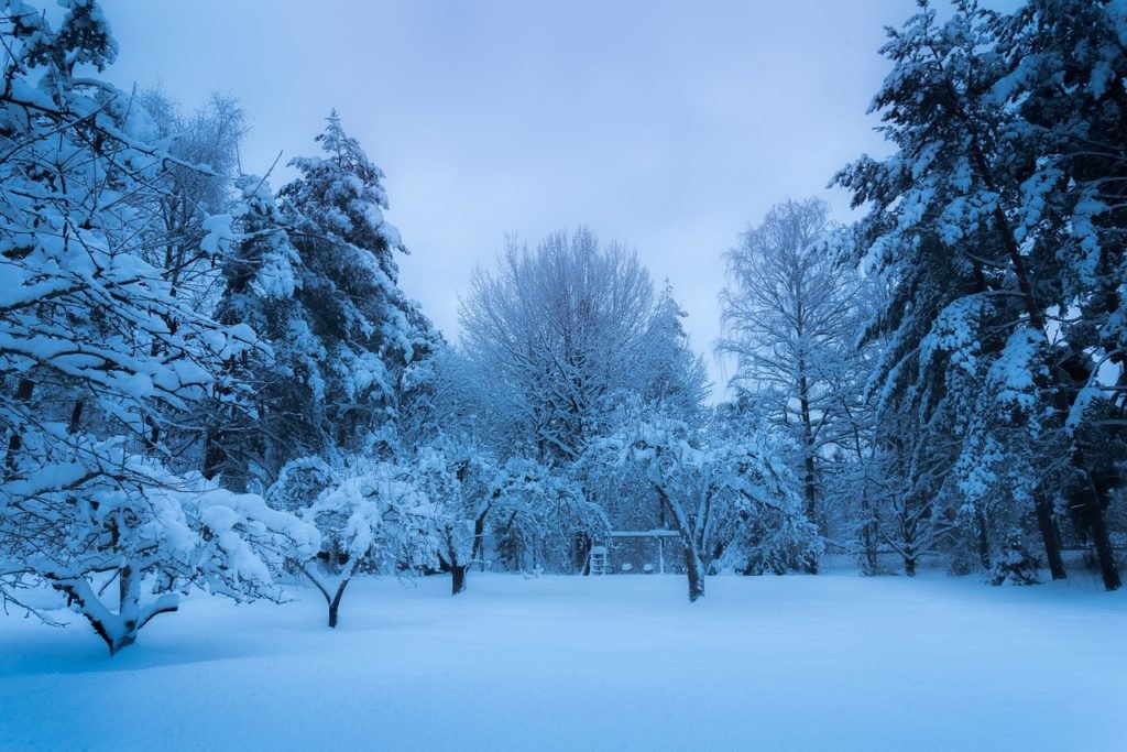 varmeregning 1024x683 Spar penge på varmen